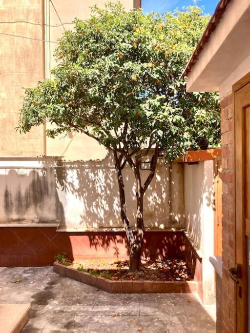 פלרמו Villa Orlando Mondello מראה חיצוני תמונה